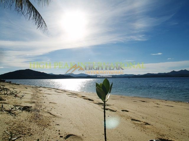 islands in Palawan thumbnail photo 4