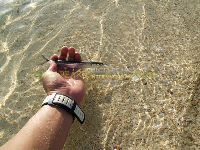 islands in Palawan thumbnail photo 9