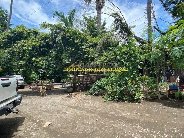 land for development in Talisay City thumbnail photo 5
