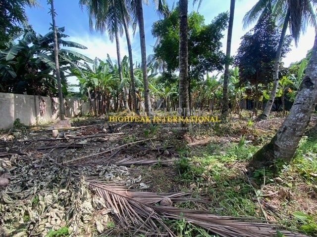 land for development in Cebu City thumbnail photo 3