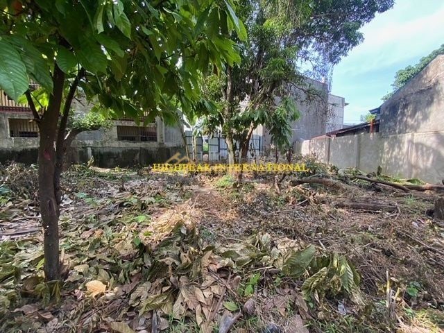 land for development in Cebu City thumbnail photo 4