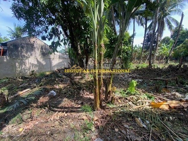 land for development in Cebu City thumbnail photo 5