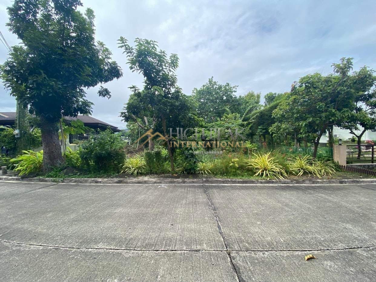 land for development in Cebu City thumbnail photo 4