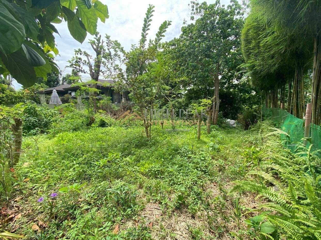 land for development in Cebu City property exterior