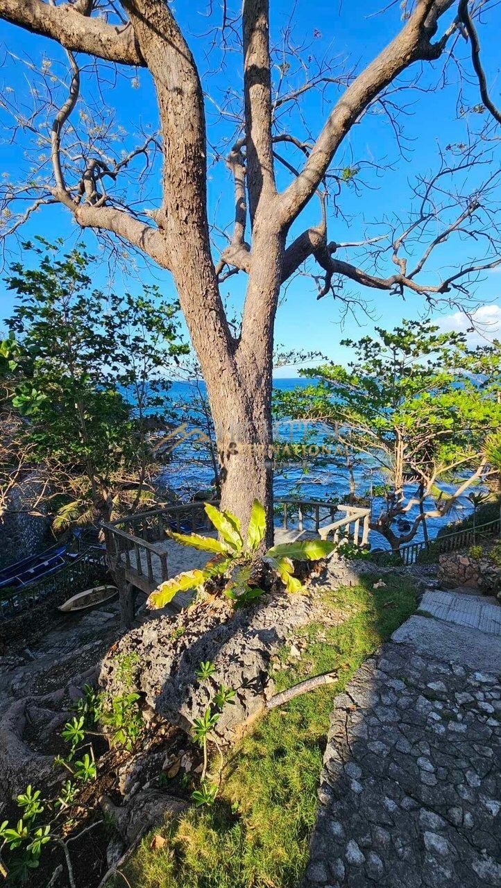 2 bedroom beach properties in Cebu thumbnail photo 10