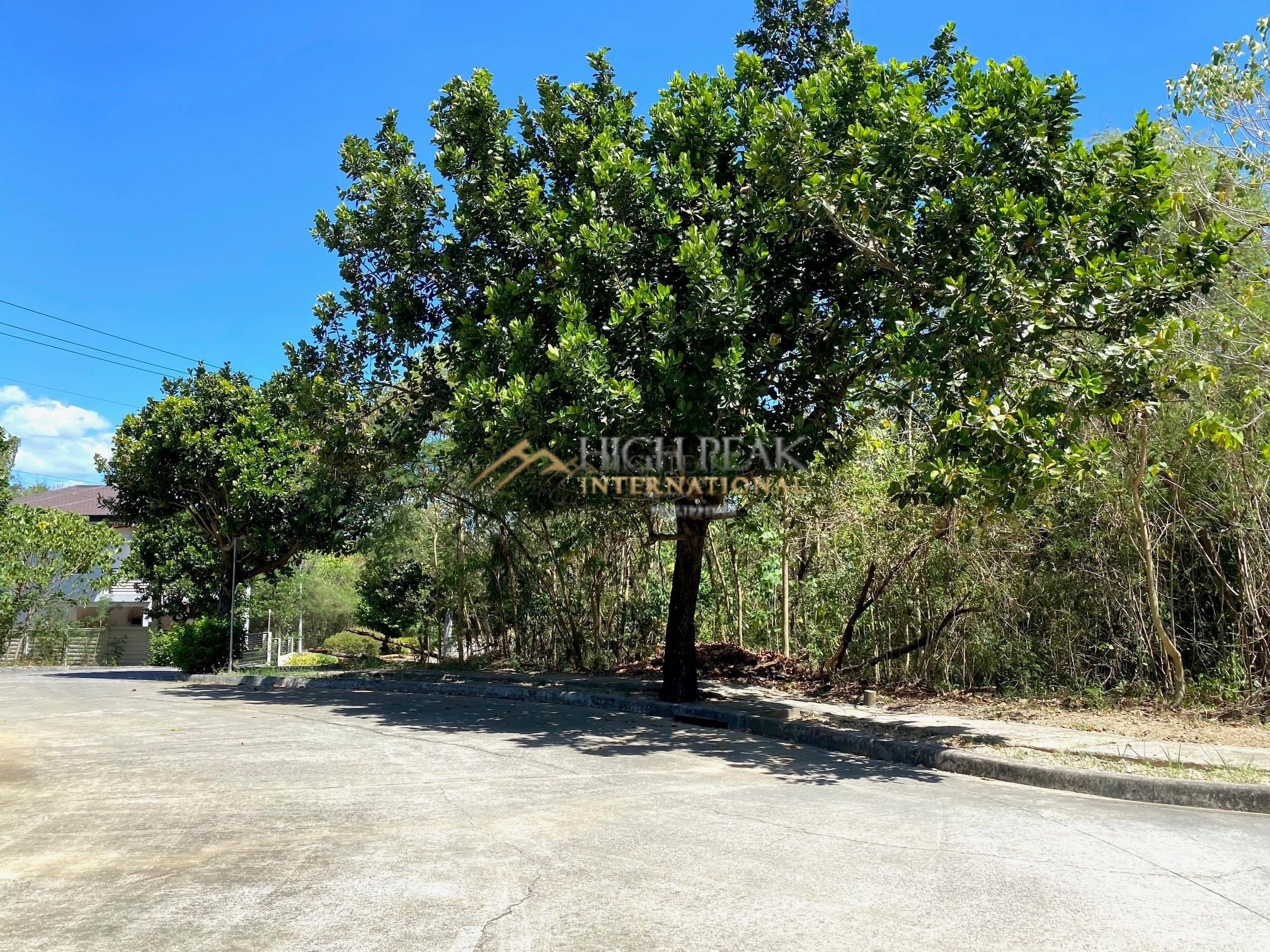 land for development in Mandaue City gallery preview photo 2