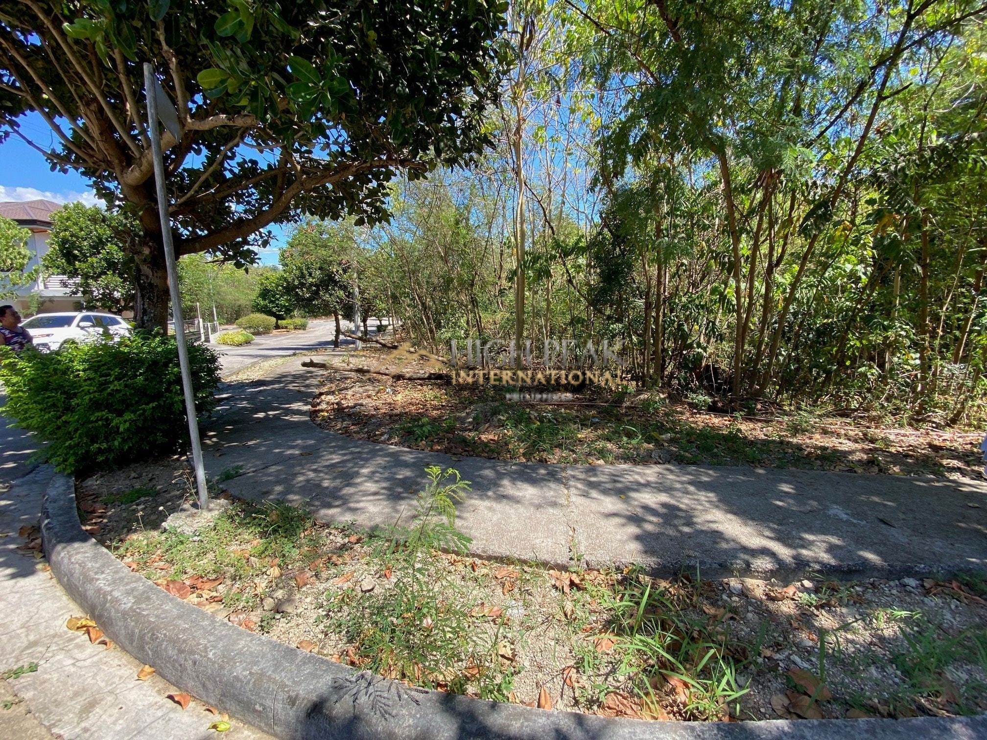 land for development in Mandaue City thumbnail photo 3