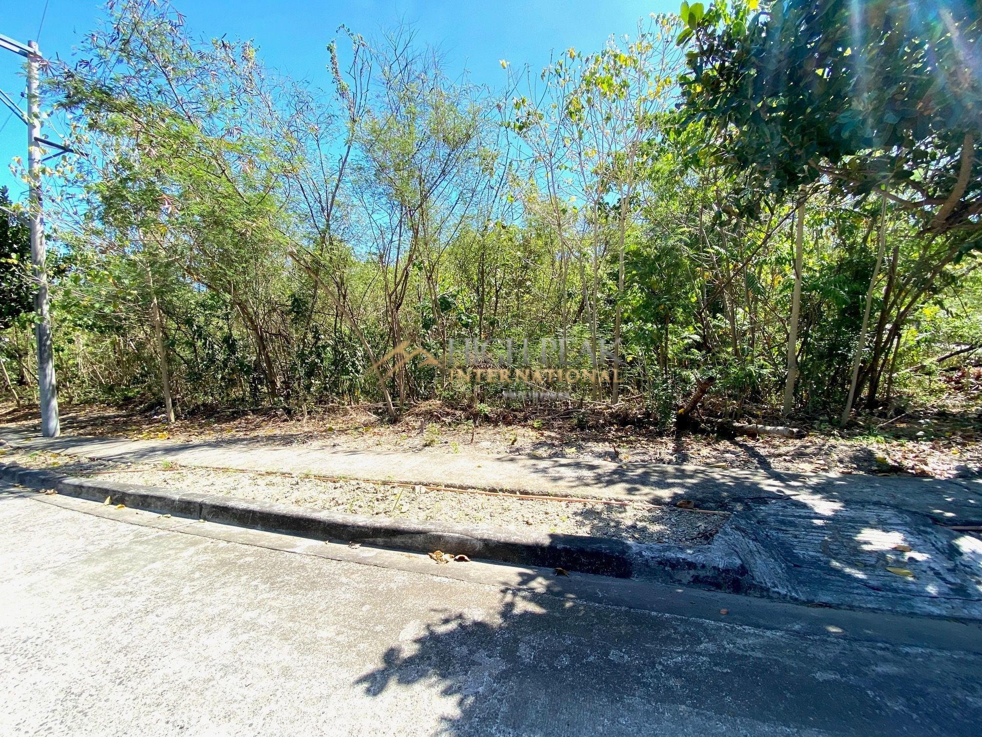 land for development in Mandaue City thumbnail photo 7