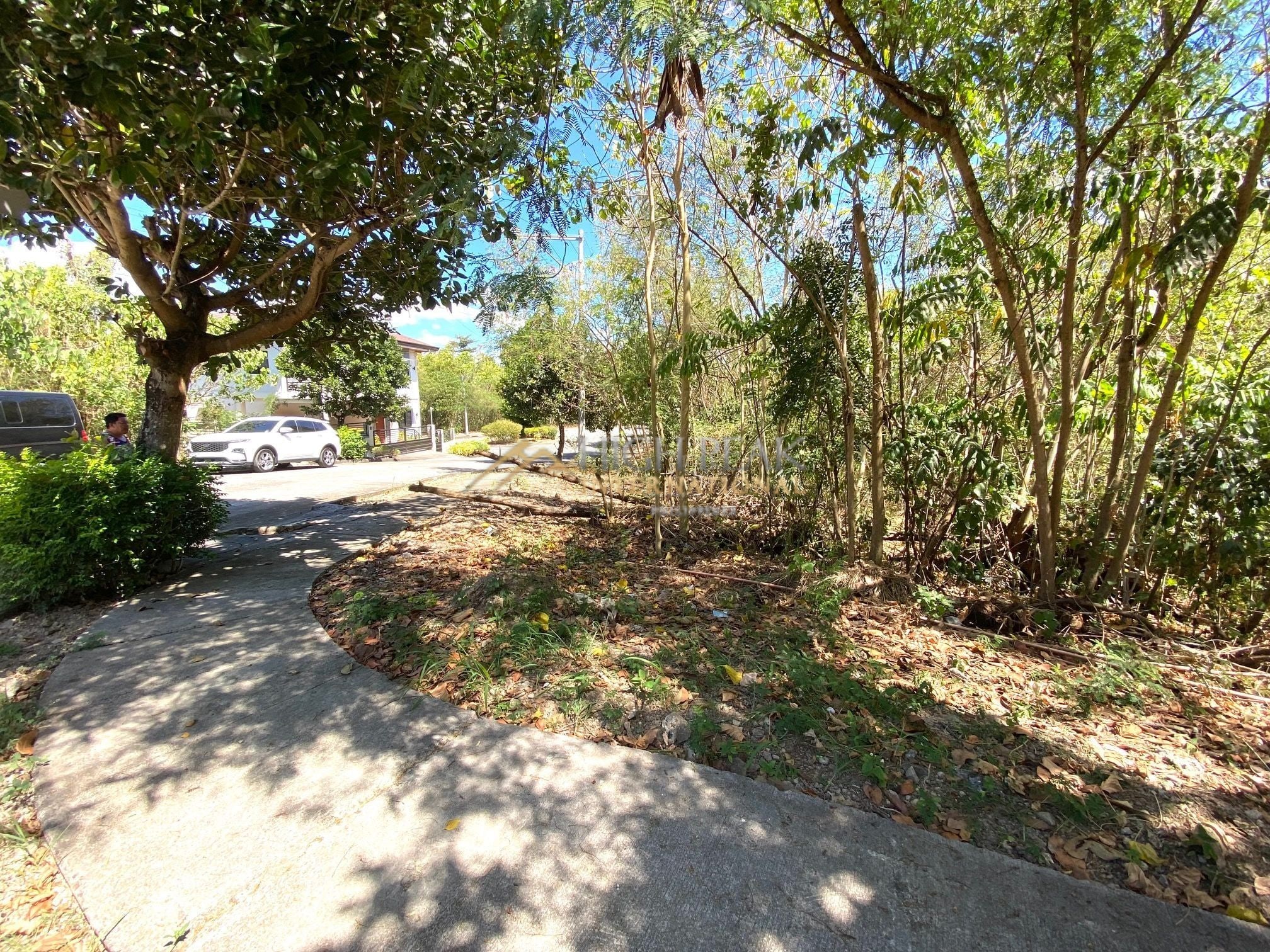 land for development in Mandaue City gallery preview photo 8