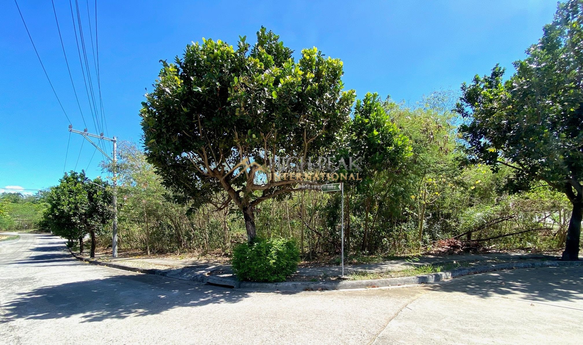 land for development in Mandaue City property exterior