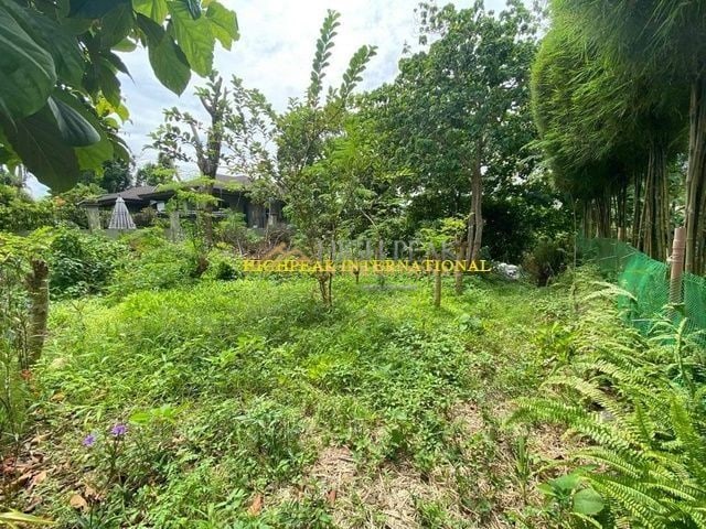 land for development in Cebu City thumbnail photo 3