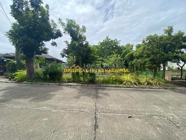 land for development in Cebu City thumbnail photo 5