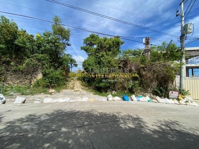 land for development in Cebu City thumbnail photo 5