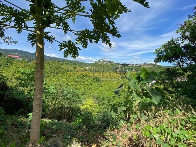 land for development in Cebu City thumbnail photo 6