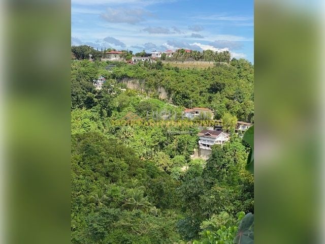 land for development in Cebu City thumbnail photo 7