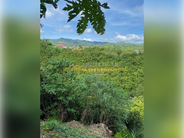 land for development in Cebu City thumbnail photo 8