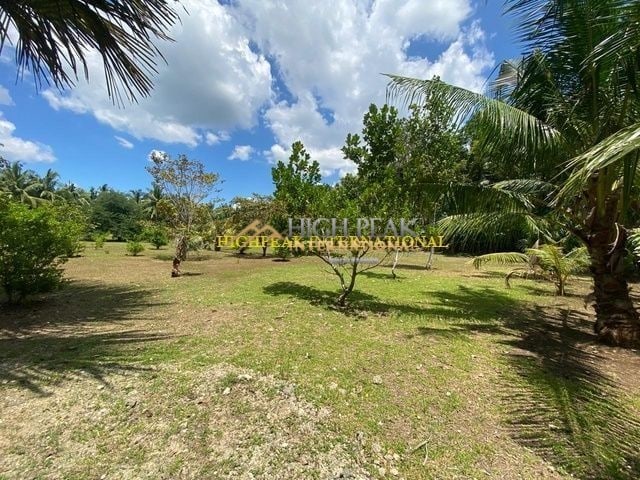 beach properties in San Remigio thumbnail photo 3