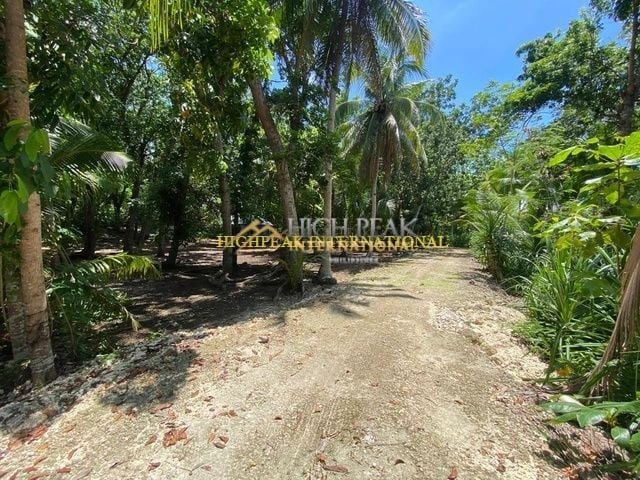 beach properties in San Remigio thumbnail photo 4