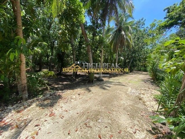 beach properties in San Remigio thumbnail photo 7