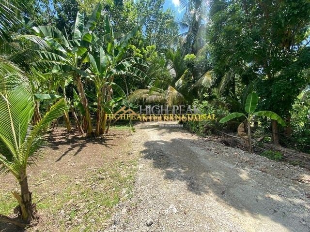 beach properties in San Remigio thumbnail photo 8