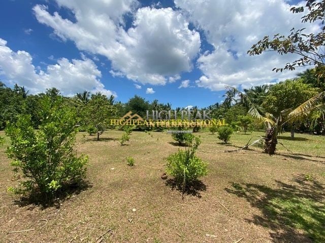 beach properties in San Remigio thumbnail photo 10
