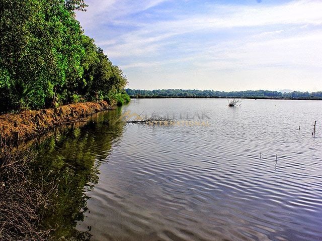 fishpond in Zamboanga Sibugay gallery preview photo 2