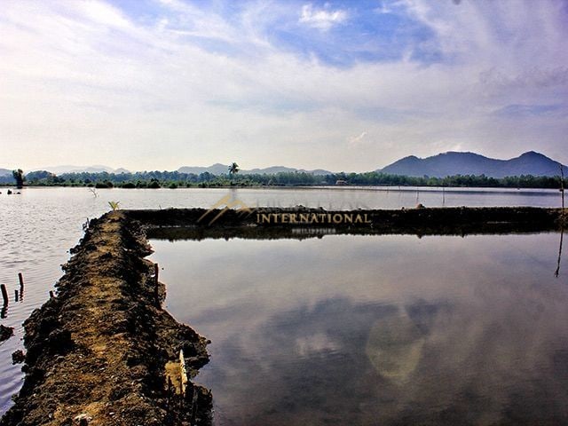 fishpond in Zamboanga Sibugay thumbnail photo 5