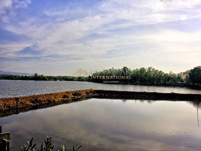 fishpond in Zamboanga Sibugay thumbnail photo 6
