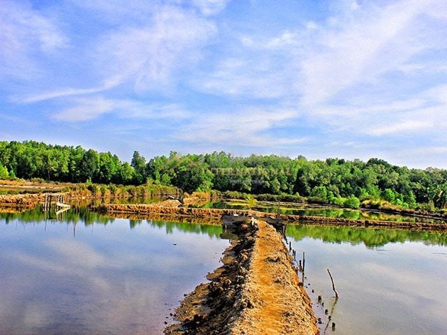 fishpond in Zamboanga Sibugay thumbnail photo 8
